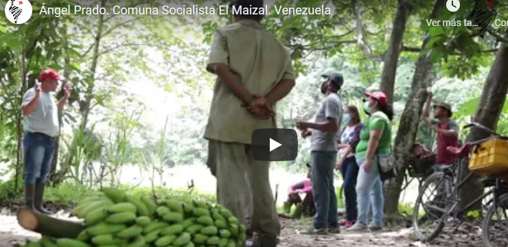 Venezuela: El Maizal una experiencia de comuna socialista